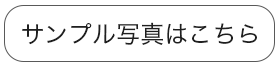 お宮参り写真のサンプルフォトはこちら